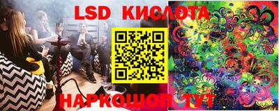 прущие грибы Заводоуковск