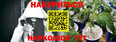 прущие грибы Заводоуковск
