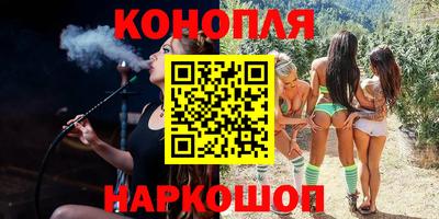 прущие грибы Заводоуковск