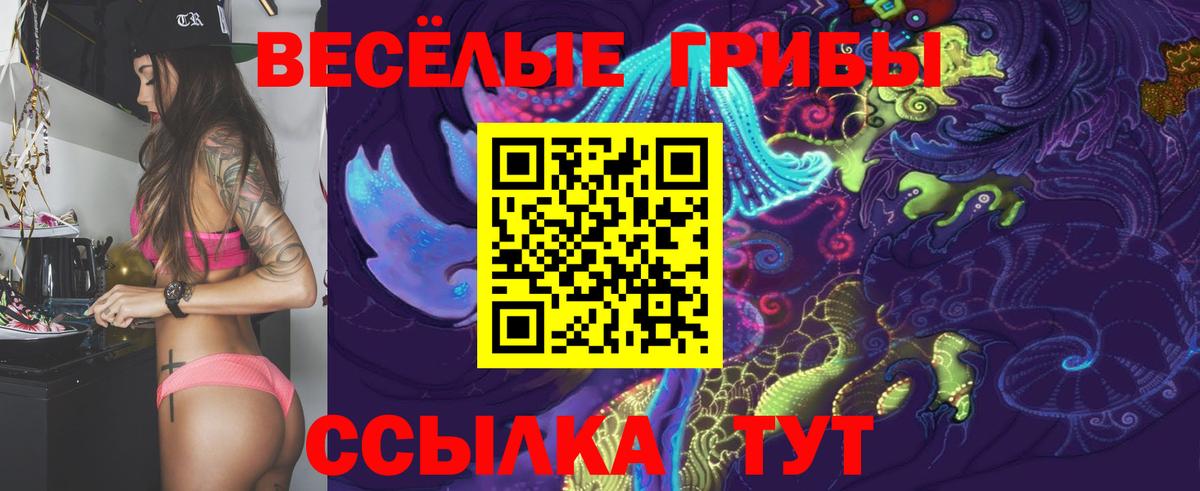 Псилоцибиновые грибы GOLDEN TEACHER  Вход с VPN  Карпинск 