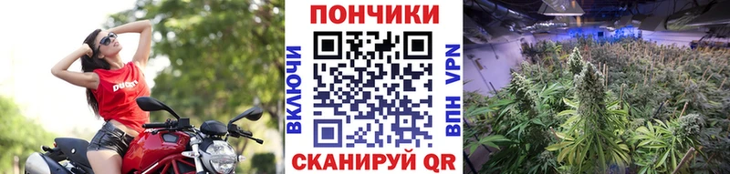 МАРИХУАНА Ganja  дарнет шоп  Карпинск 